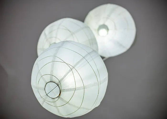 Apartman Amelia's House